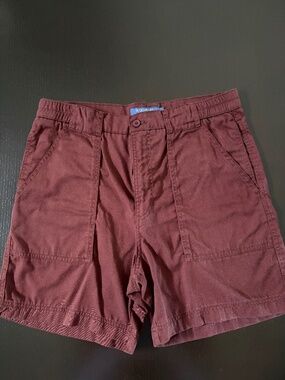 Reddish Brown Mens' Casual Shorts by Windham Pointe, 34, Stretch waist